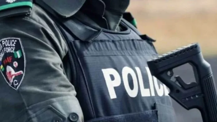 Police arrest 2 brothers for robbery in Ondo