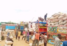 Prices of essential food items at Potiskum Market, Yobe Prices of essential food items at Potiskum Market, Yobe
